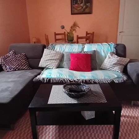 Appartement Spacieux Dans Joli Village Alsacien Châtenois 외부 사진