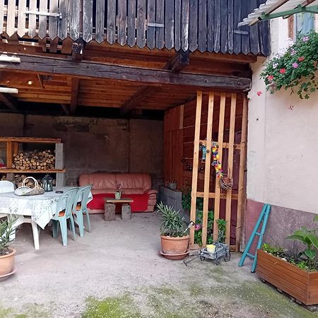 Appartement Spacieux Dans Joli Village Alsacien Châtenois 외부 사진