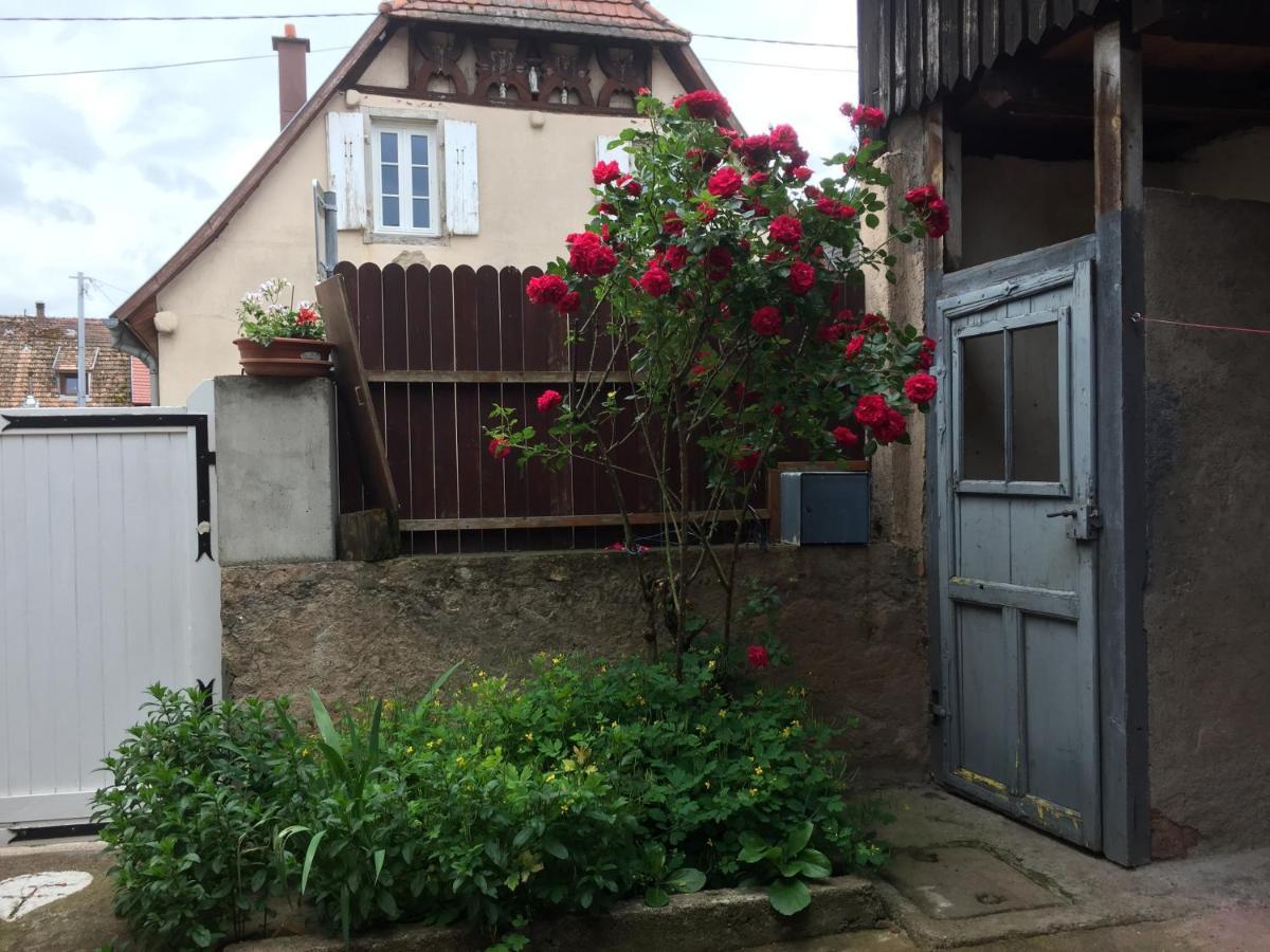 Appartement Spacieux Dans Joli Village Alsacien Châtenois 외부 사진