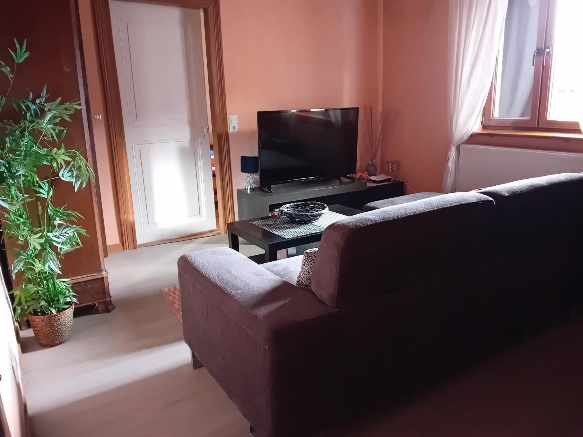 Appartement Spacieux Dans Joli Village Alsacien Châtenois 외부 사진