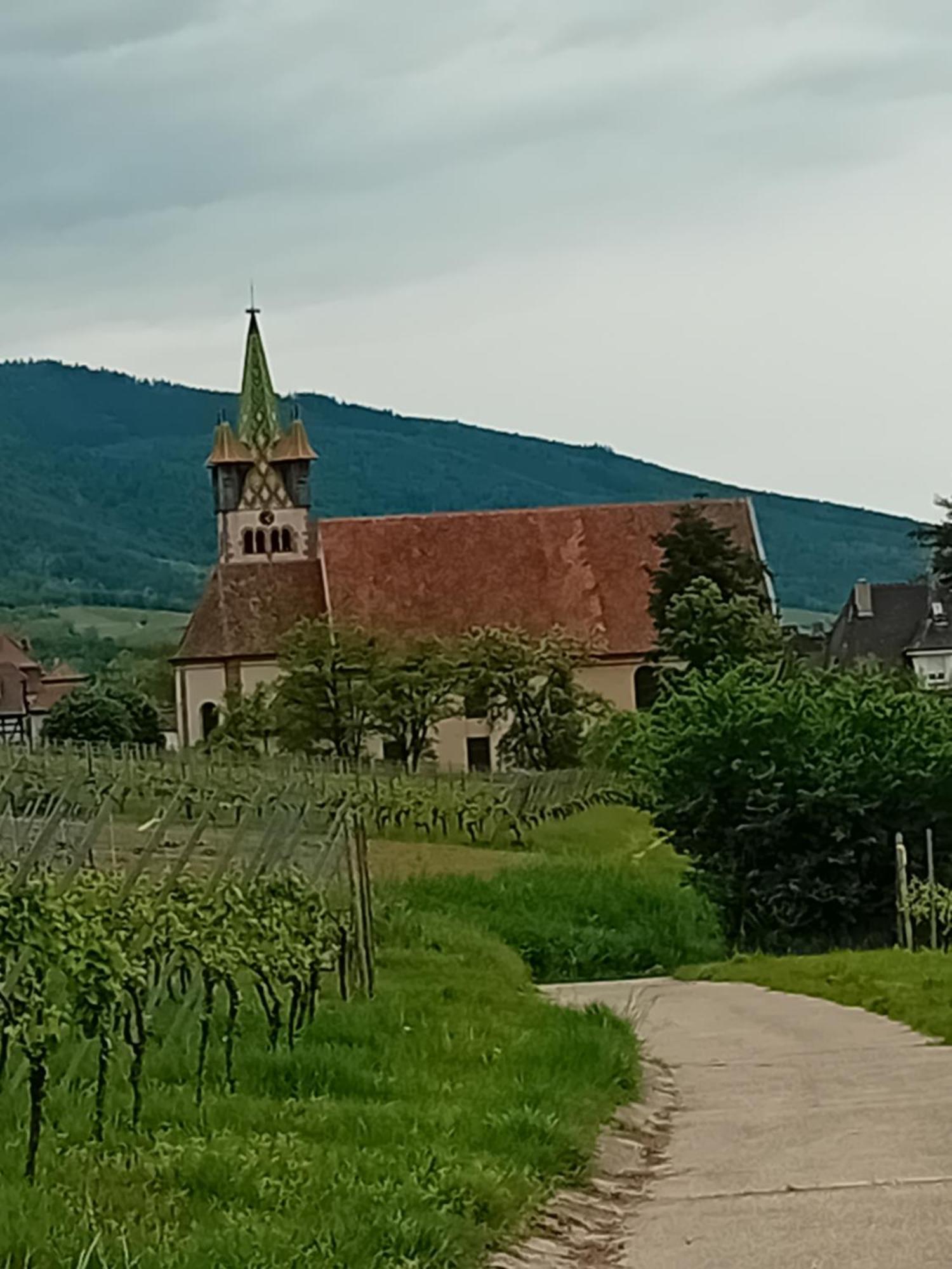 Appartement Spacieux Dans Joli Village Alsacien Châtenois 외부 사진