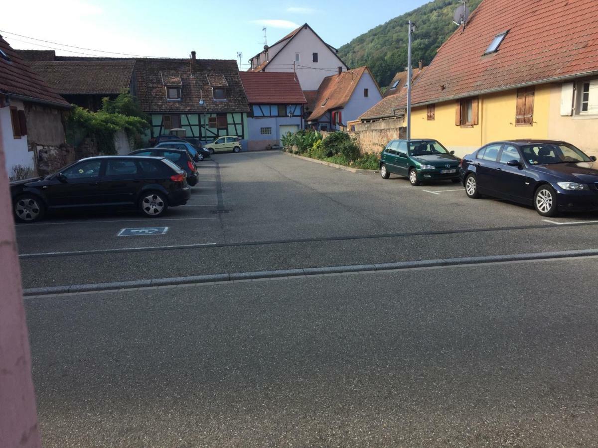 Appartement Spacieux Dans Joli Village Alsacien Châtenois 외부 사진